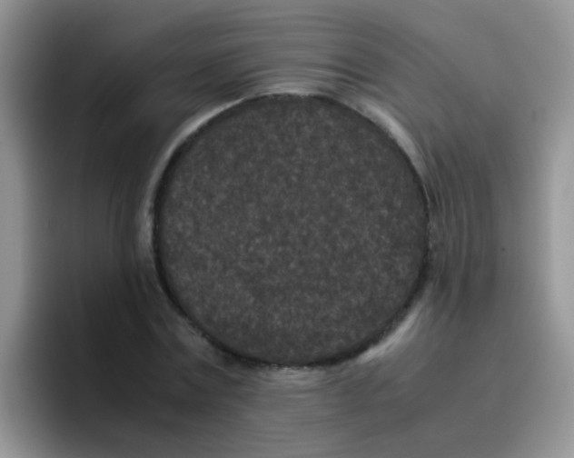 X0000095910779200802081052