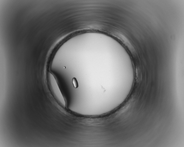 X0000095910780200802081052