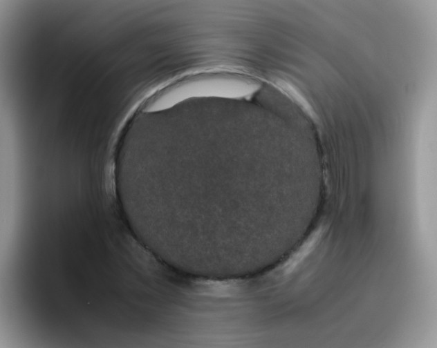 X0000095910781200802081052