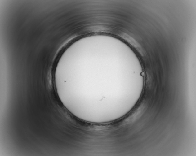 X0000095910782200802081052