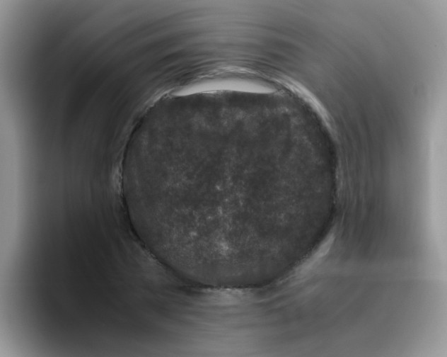 X0000095910785200802081052