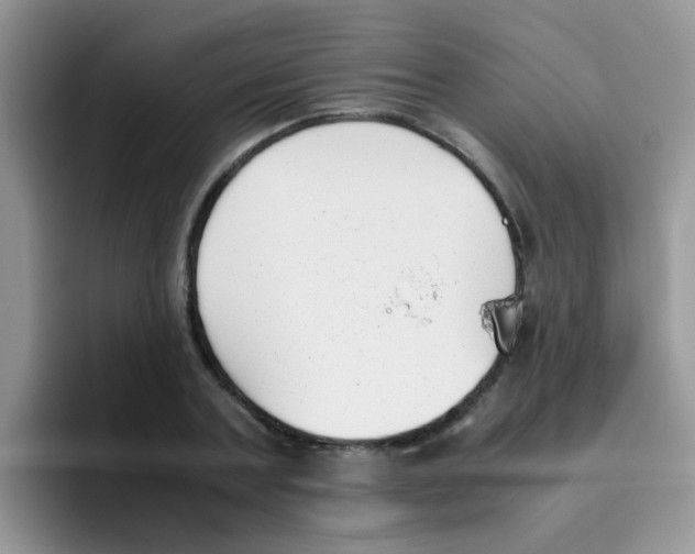 X0000095910787200802081052