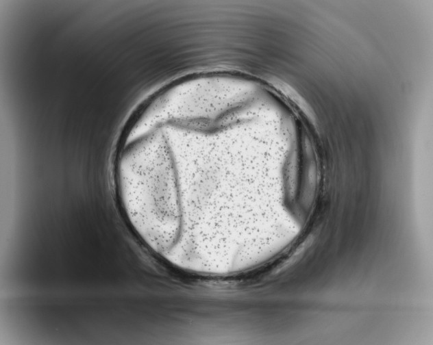 X0000095910789200802081052