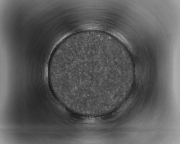 X0000095910790200802081052