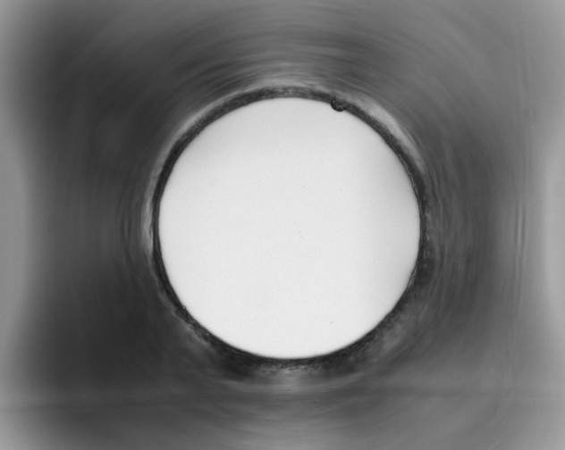 X0000095910791200802081052