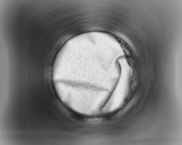 X0000095910793200802081052