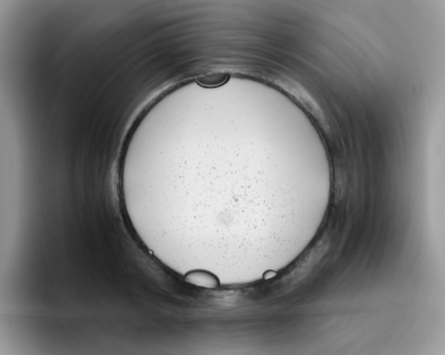 X0000095910798200802081052