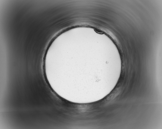 X0000095910799200802081052