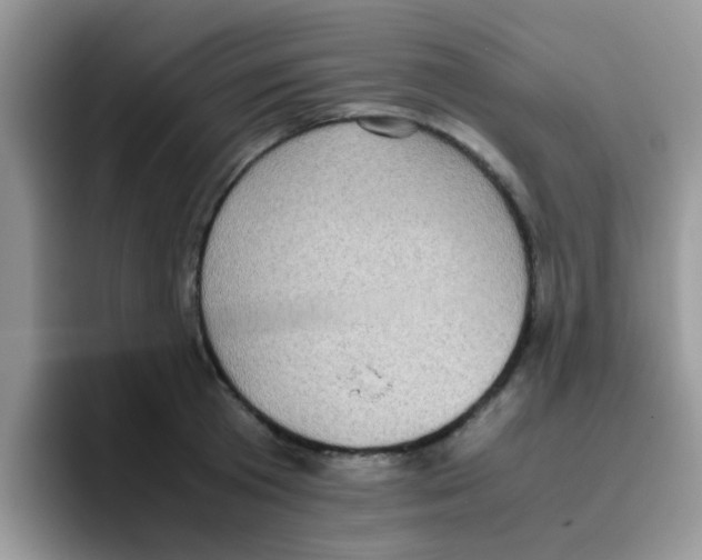 X0000095910801200802081052