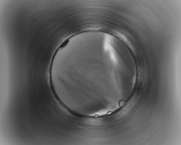 X0000095910802200802081052