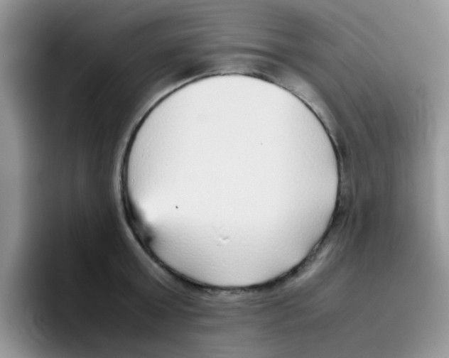 X0000095910803200802081052