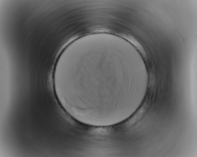 X0000095910806200802081052