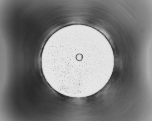 X0000095910807200802081052