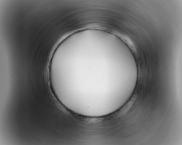 X0000095910808200802081052