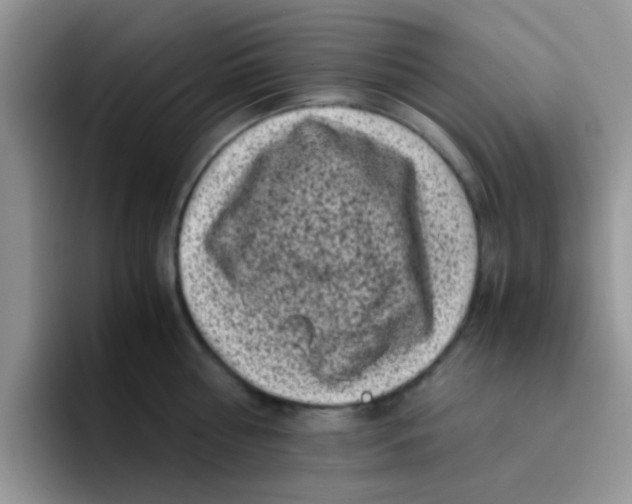 X0000095910810200802081052