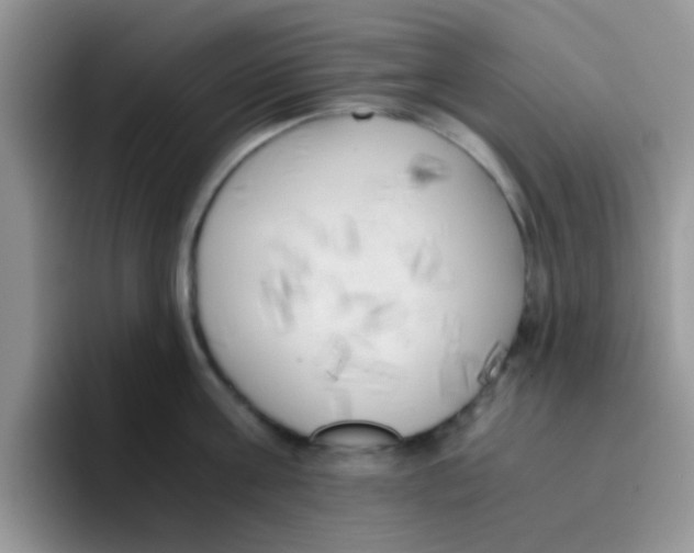 X0000095910811200802081052
