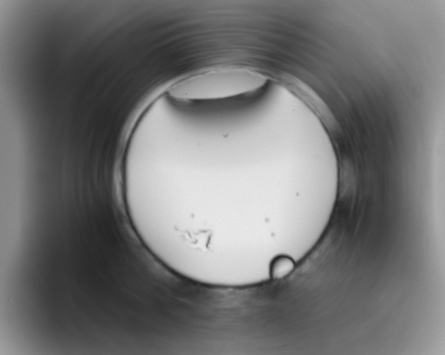 X0000095910812200802081052