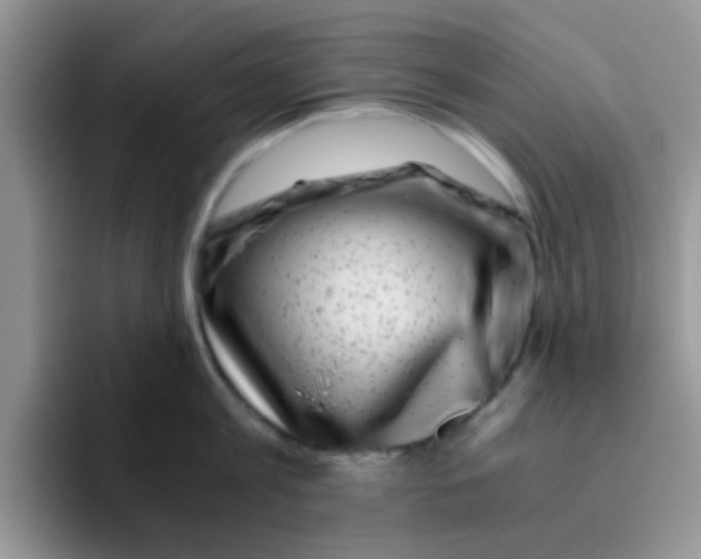 X0000095910813200802081052