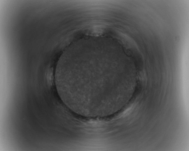 X0000095910818200802081051