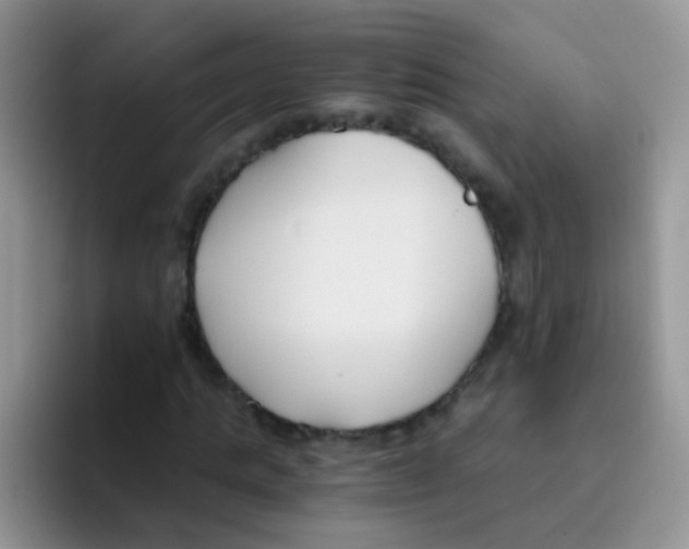 X0000095910821200802081051