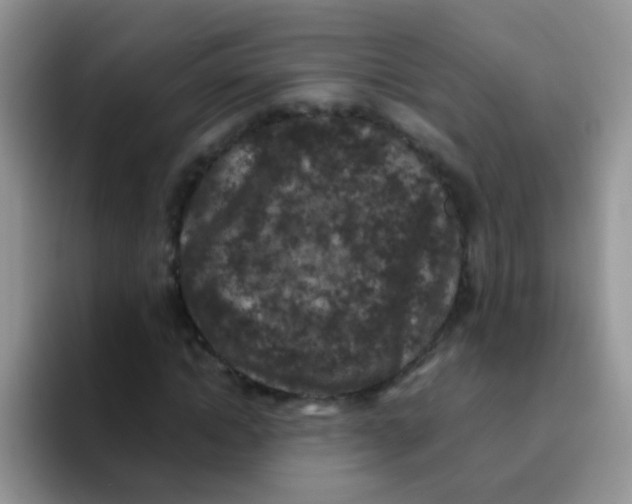 X0000095910822200802081051