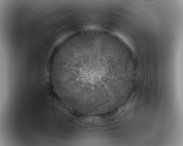 X0000095910823200802081051