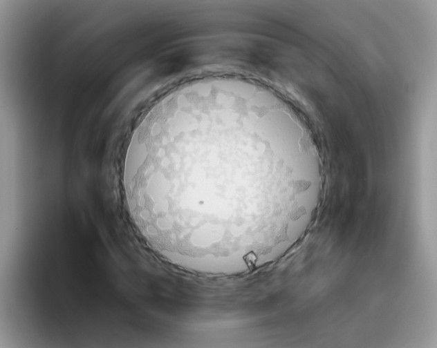 X0000095910824200802081051