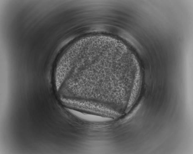 X0000095910826200802081051