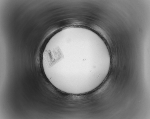 X0000095910827200802081051