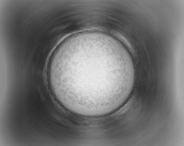 X0000095910828200802081051