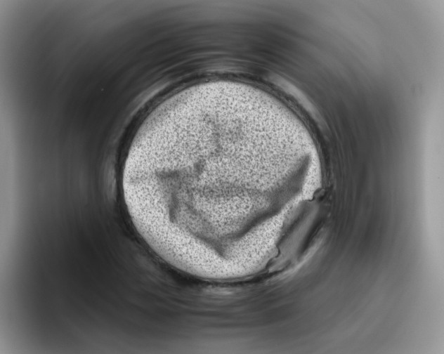 X0000095910829200802081051