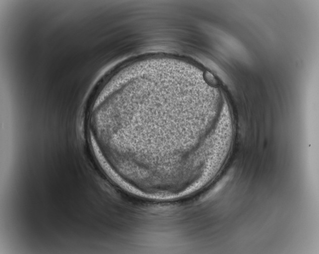 X0000095910830200802081051