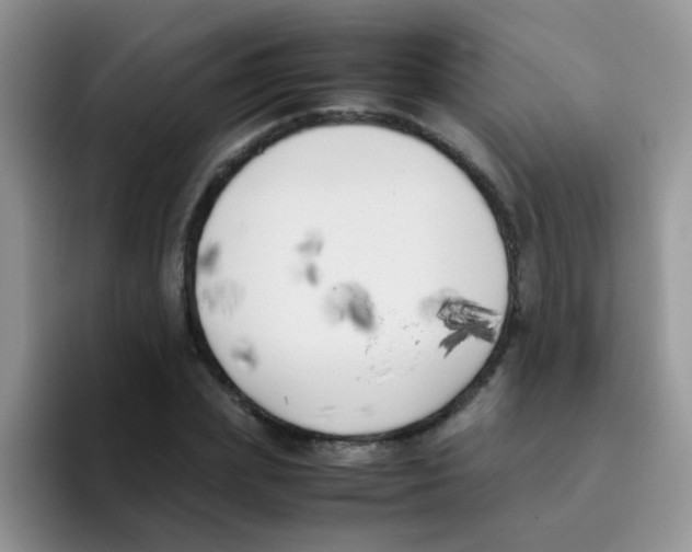 X0000095910831200802081051