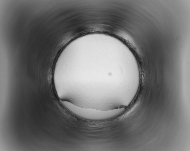 X0000095910833200802081051