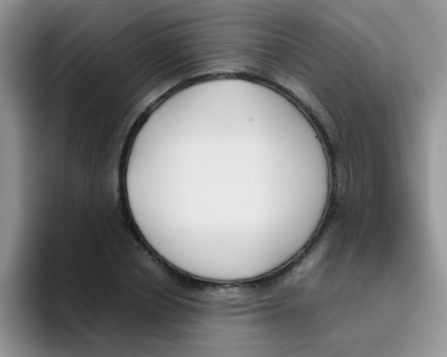 X0000095910834200802081051