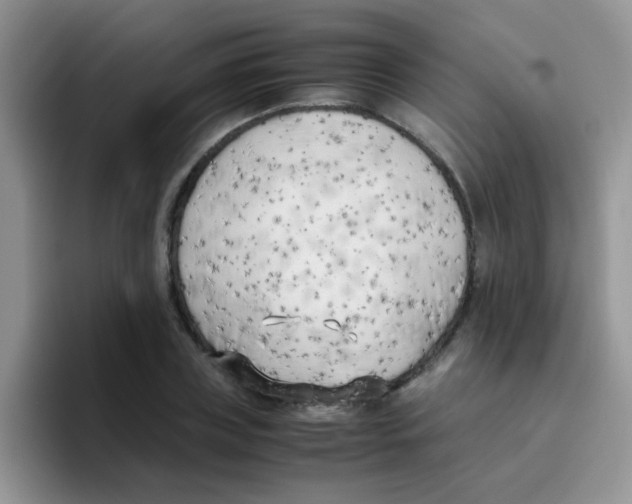 X0000095910835200802081051