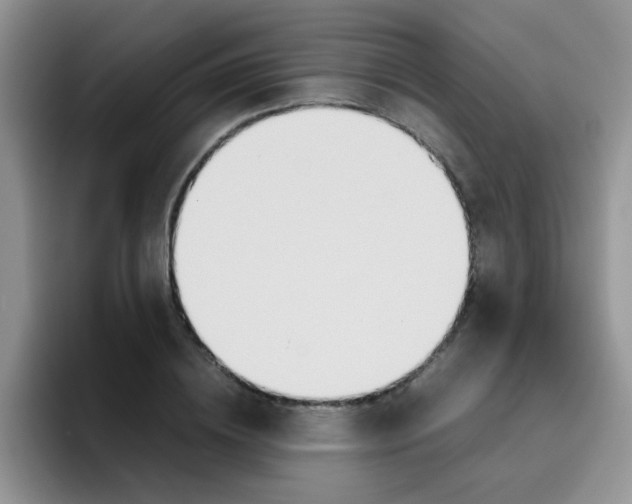 X0000095910836200802081051