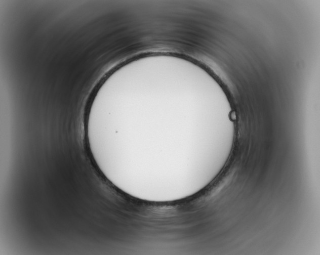 X0000095910837200802081051