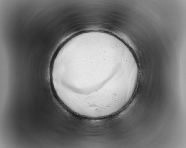 X0000095910839200802081051