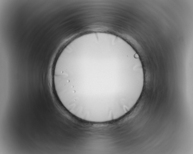 X0000095910840200802081051