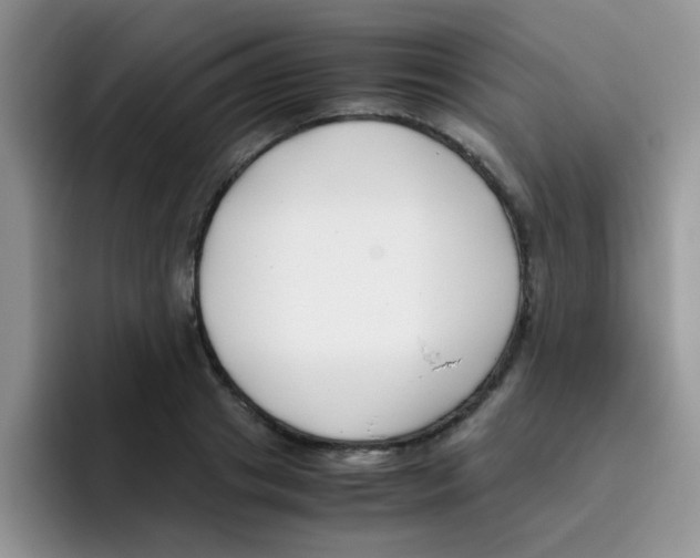 X0000095910841200802081051