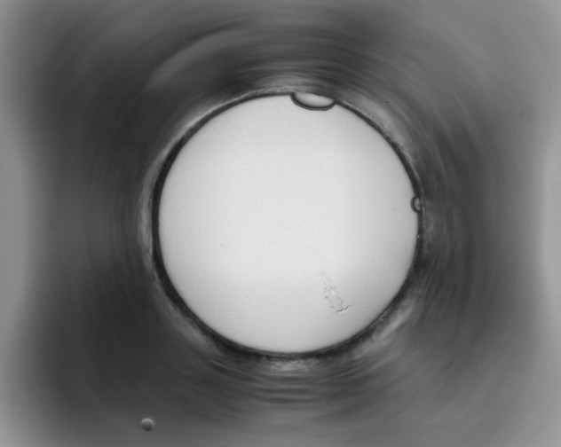 X0000095910843200802081051