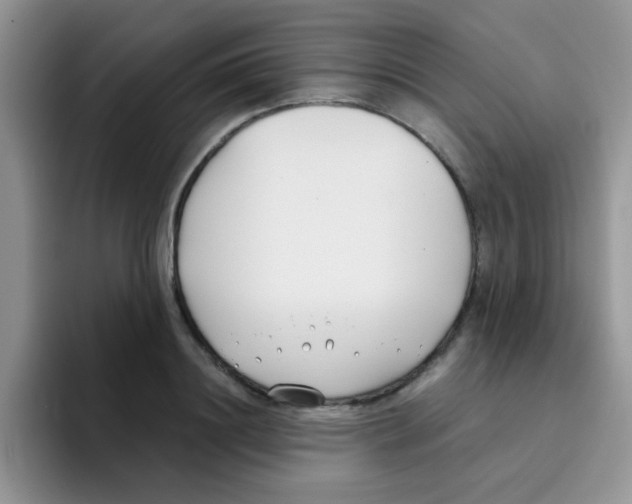 X0000095910844200802081051