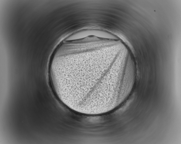 X0000095910845200802081051