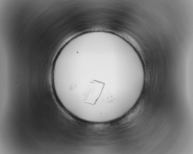 X0000095910847200802081051