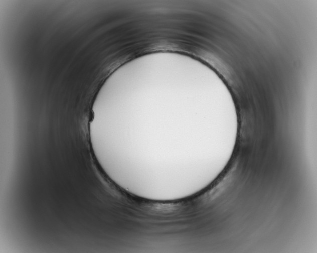 X0000095910849200802081051