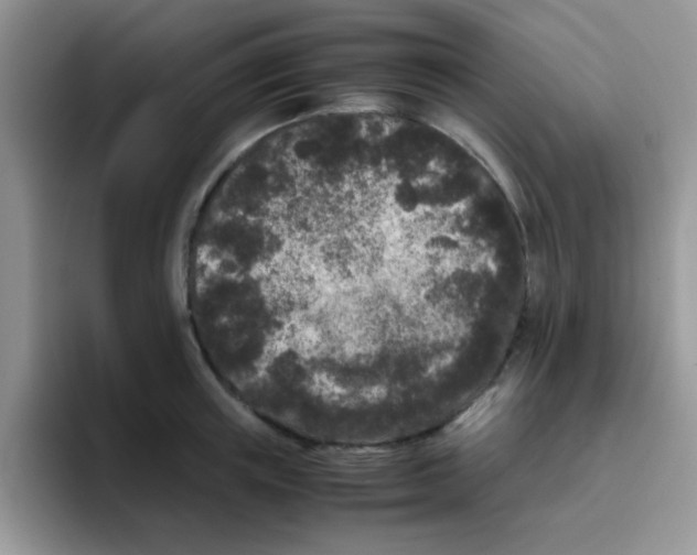 X0000095910851200802081051