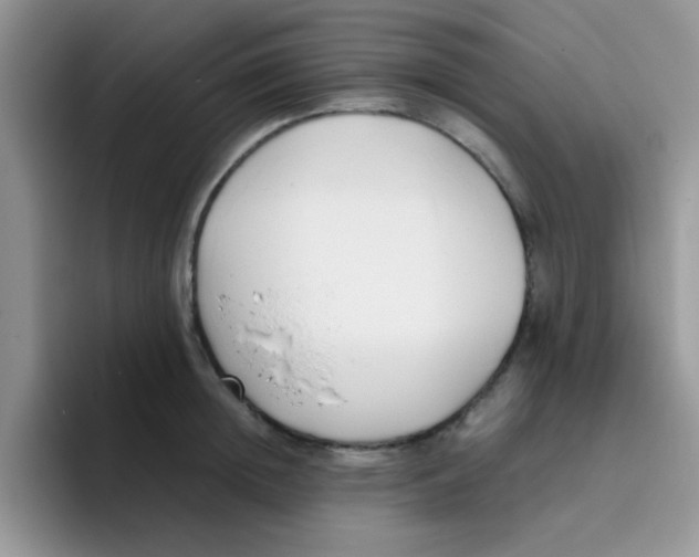 X0000095910852200802081051