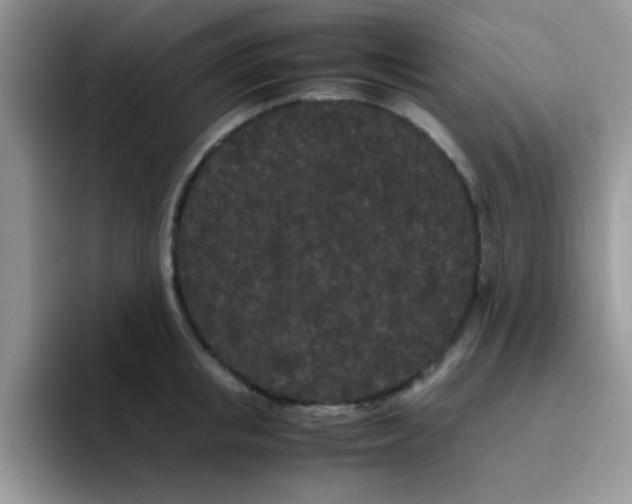 X0000095910853200802081051