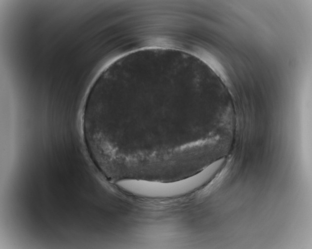 X0000095910854200802081051